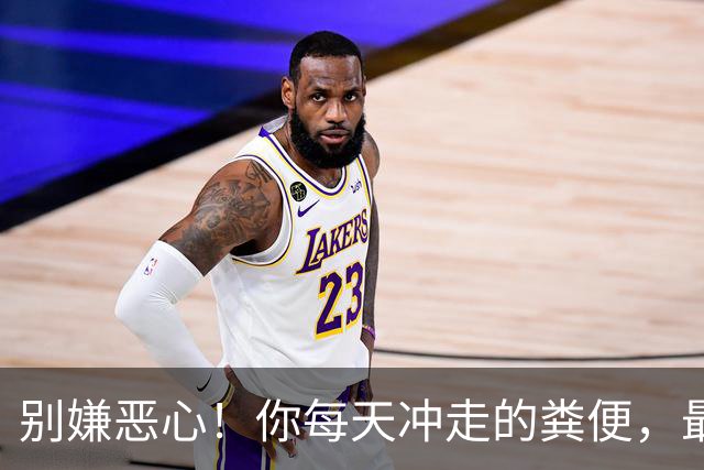 别嫌恶心！你每天冲走的粪便，最后竟全藏进城市这些秘密角落里！