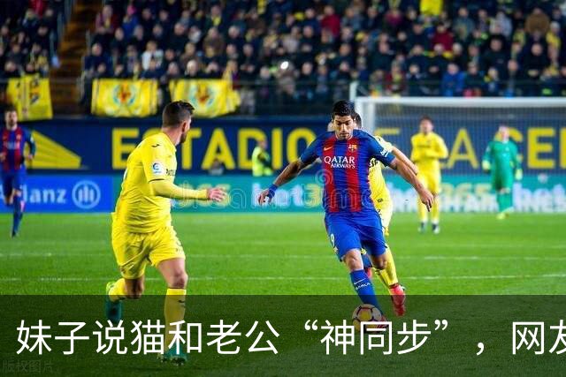 妹子说猫和老公“神同步”，网友不信，结果一看：原来猫咪真的会选“师父”！